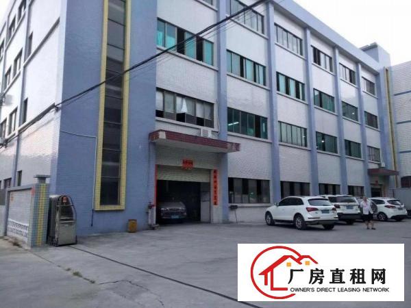 
		桥头大洲东部快速边标准厂房800平方带消防喷淋牛角
	