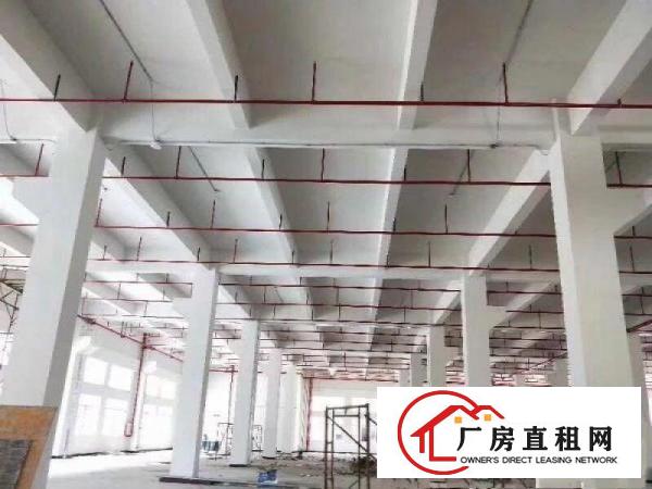 
		桥头大洲东部快速边标准厂房800平方带消防喷淋牛角
	