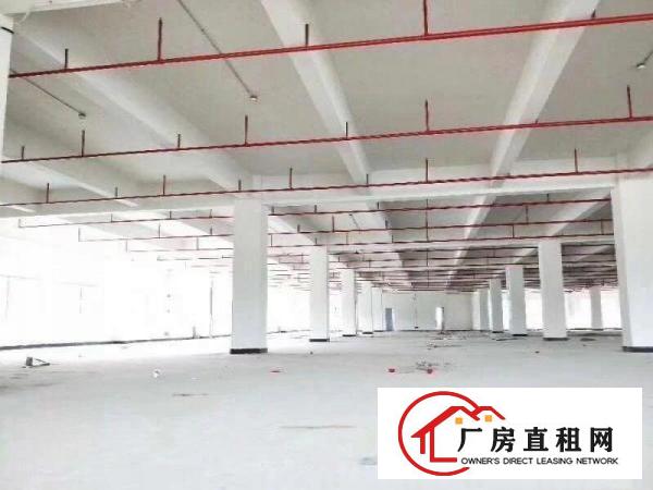 
		桥头大洲东部快速边标准厂房800平方带消防喷淋牛角
	
