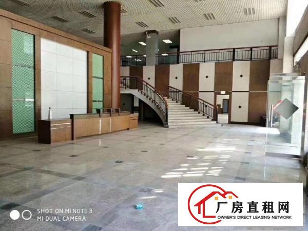
		桥头大洲东部快速边标准厂房800平方带消防喷淋牛角
	