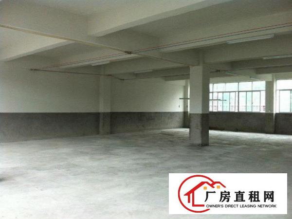 
		桥头新出标准一楼分租800平方，带办公室厂房出租
	