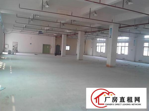 
		桥头镇东深路旁7800平方出租，自带现成5顿行车
	