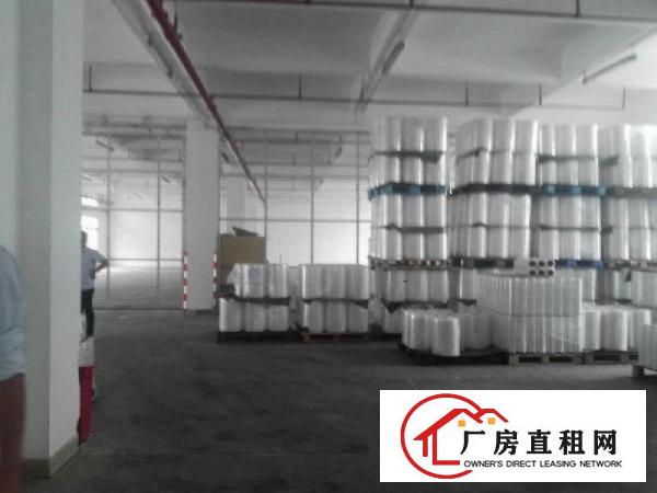 
		桥头镇新出原房东标准厂房分租1250平，带消防喷淋
	