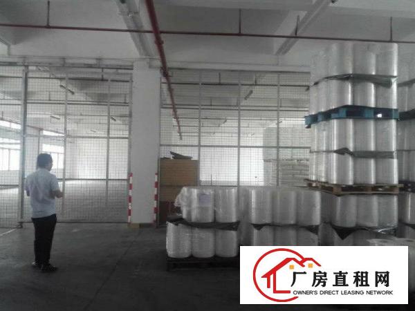 
		桥头镇新出原房东标准厂房分租1250平，带消防喷淋
	
