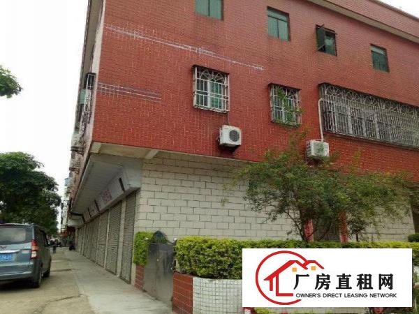 
		桥头镇岗头村独栋厂房招租，面积700平方，可分租
	