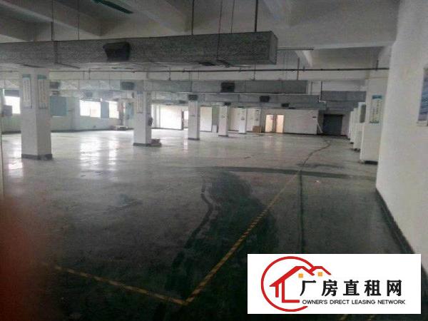 
		桥头镇新出标准厂房一楼1800平方出租，带地坪漆
	