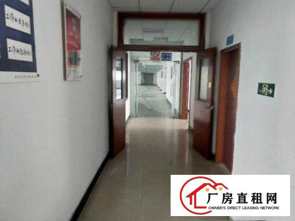 
		桥头镇新出标准厂房一楼1800平方出租，带地坪漆
	