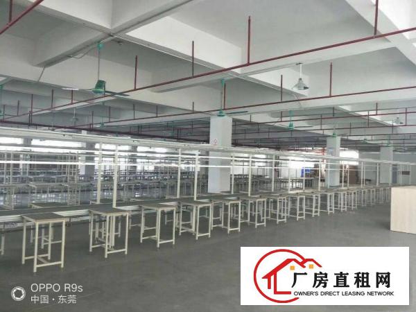 
		桥头镇工业区新出三层7800平方独门独院厂房出租，
	