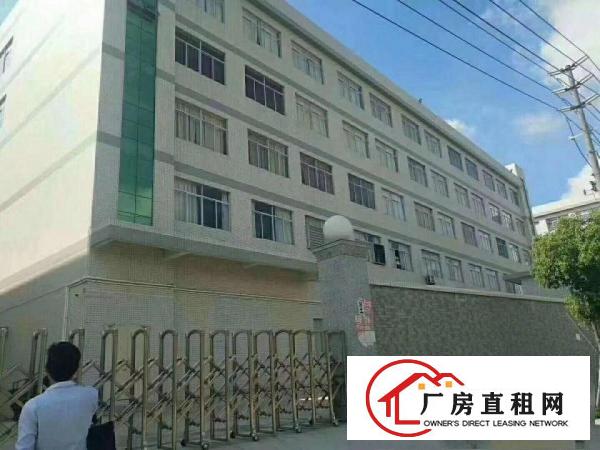 
		桥头镇新出原房东三层5500平方独门独院厂房租出租
	