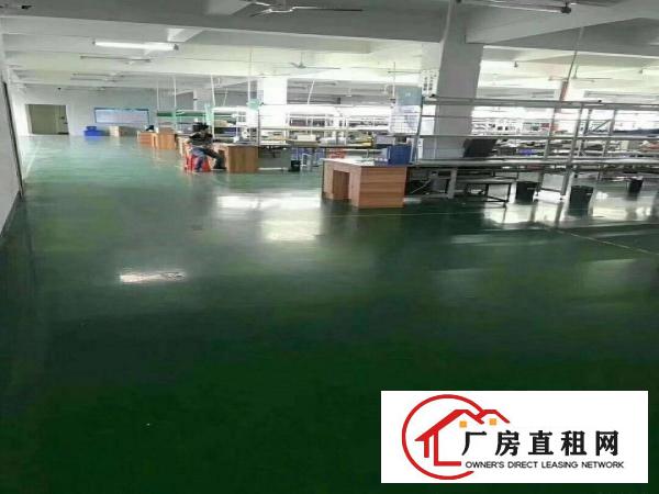 
		桥头镇新出原房东三层5500平方独门独院厂房租出租
	