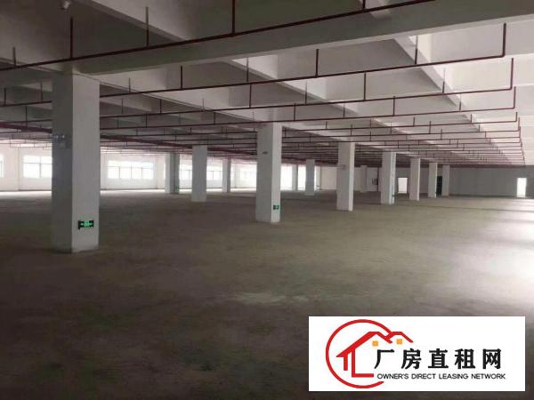 
		桥头镇大洲新空出原房东标准一楼800平方厂房出租，
	