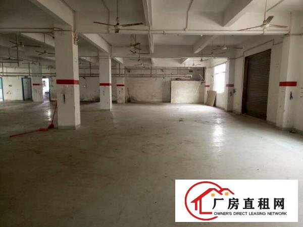 
		大洲独院厂房2600平，水电齐全招租
	