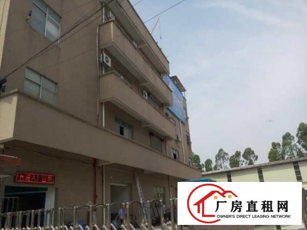 
		大洲独院厂房2600平，水电齐全招租
	
