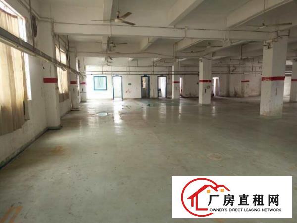
		大洲独院厂房2600平，水电齐全招租
	