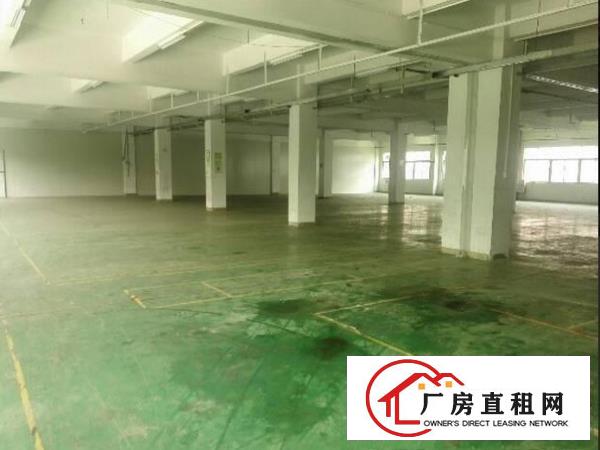
		桥头邵岗头二至三楼2500平厂房可分租
	