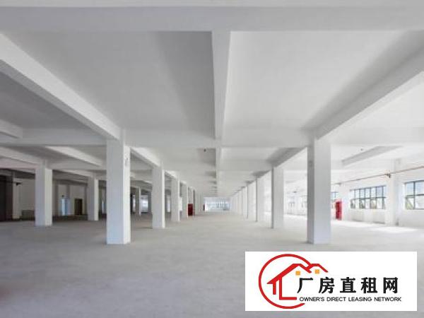 
		桥头新出花园独院厂房3层3000平米可进出拖头车
	