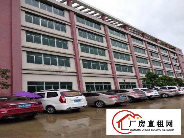 
		惠阳新圩新出标准3层楼房2200平方出租
	