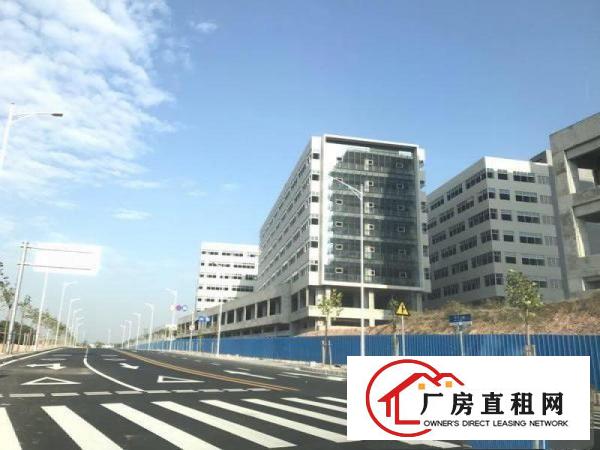
		新圩全新独院24300平方标准厂房
	