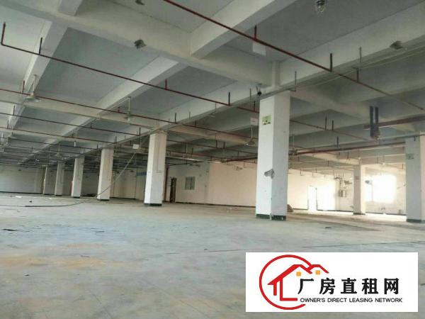 
		原房东标准一楼3300平低价出租
	