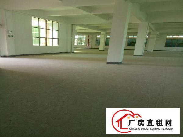 
		新出原房东独栋8000平火爆招租
	