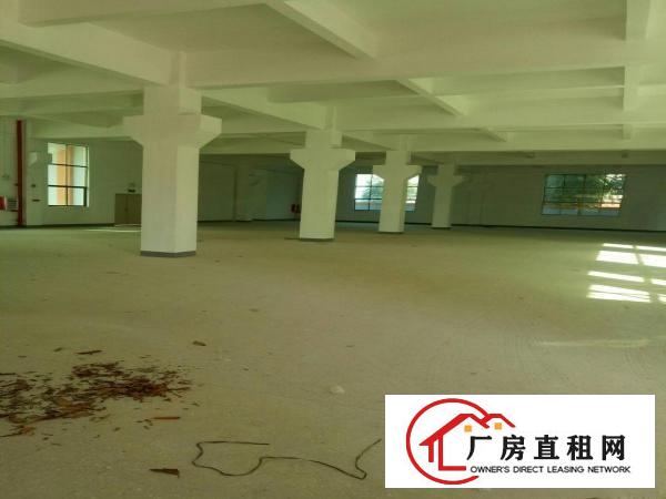
		新出原房东独栋8000平火爆招租
	