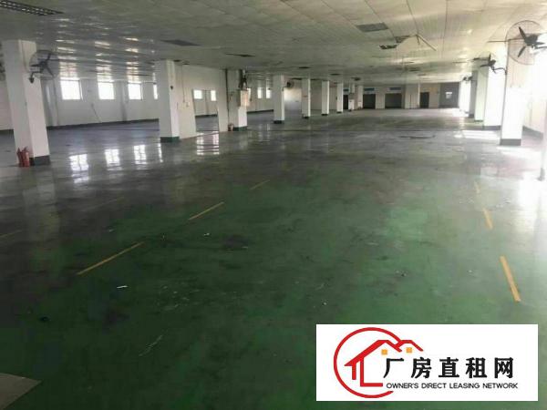 
		标准厂房楼上分租1000平
	