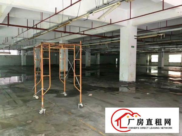 
		惠阳新圩新出独院厂房7500平米带装修出租
	