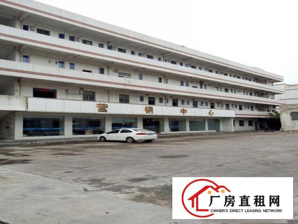 
		惠阳新圩新出独院厂房6100平方招租
	