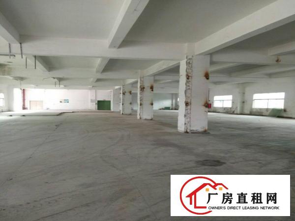 
		惠阳新圩新出独院厂房6100平方招租
	