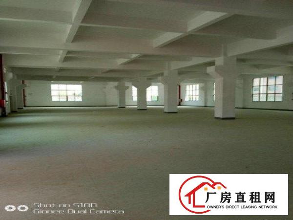 
		惠阳新圩博深高速出口2000平方楼上喷淋厂房出租
	