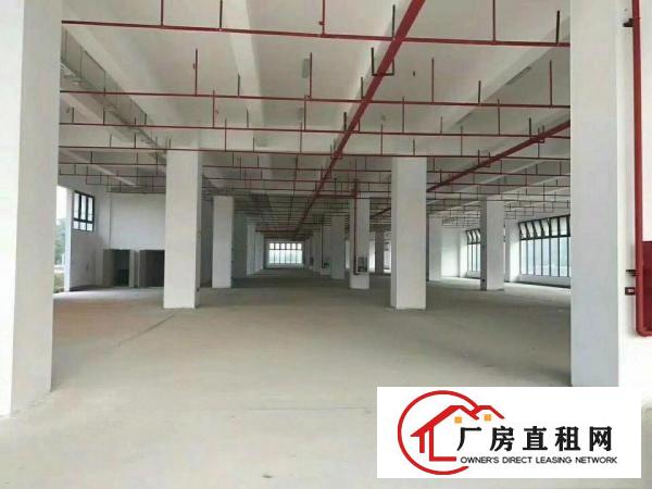 
		新圩东风层高5米每层4800平可分租适合五金家具
	
