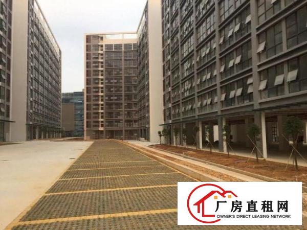 
		龙岗低碳产业园十五万平全新厂房带红本整租分租985
	