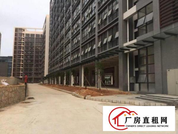 
		龙岗低碳产业园十五万平全新厂房带红本整租分租985
	