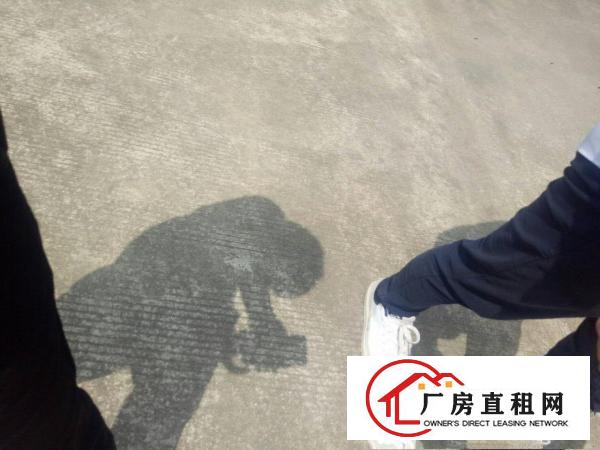 
		独院4700平方超大空地厂房出租
	