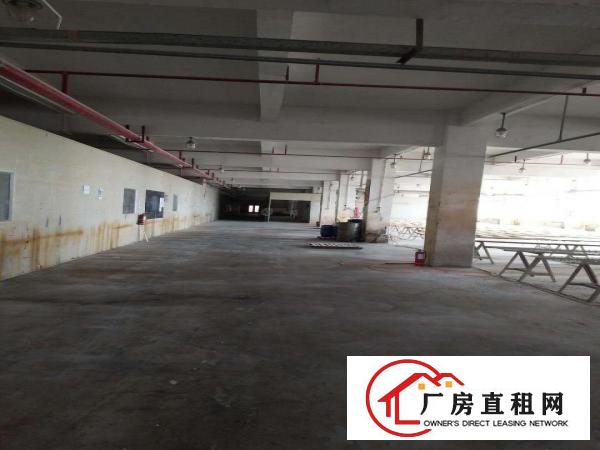 
		惠阳区新圩镇新出标准厂房10000平方
	