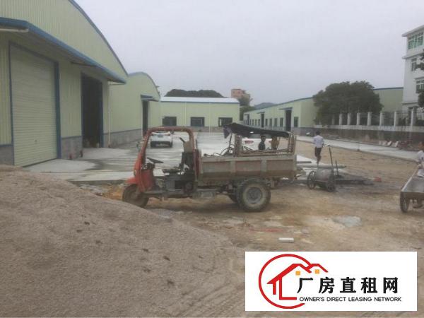 
		新圩塘口全新钢结构厂房招租
	
