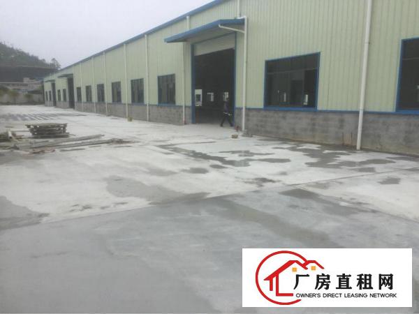 
		新圩塘口全新钢结构厂房招租
	