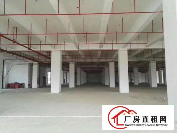 
		惠阳新圩原房东标准一楼厂房面积1000平，接受污染
	