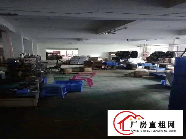 
		新圩长布高速口附近3楼1260带装修电梯三吨出租
	