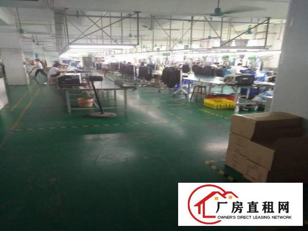 
		新圩花边岭工业园三楼厂房700平方出租有装修
	