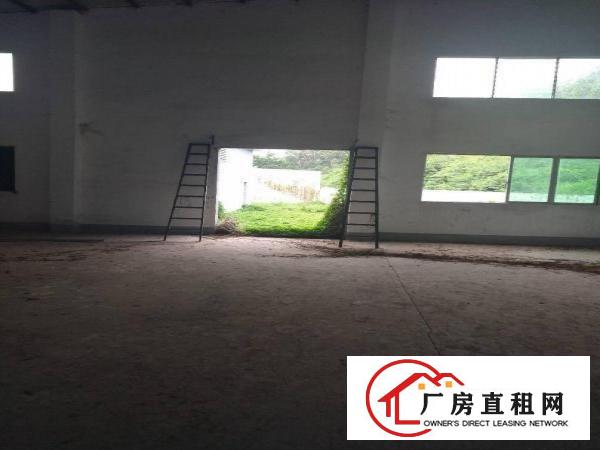
		新圩原房东独院靠山边500平方厂房出租
	