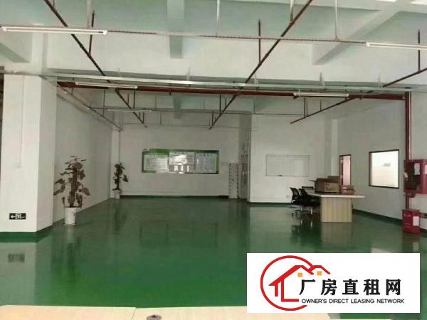 
		新圩花边岭独院厂房三楼1400平方出租
	