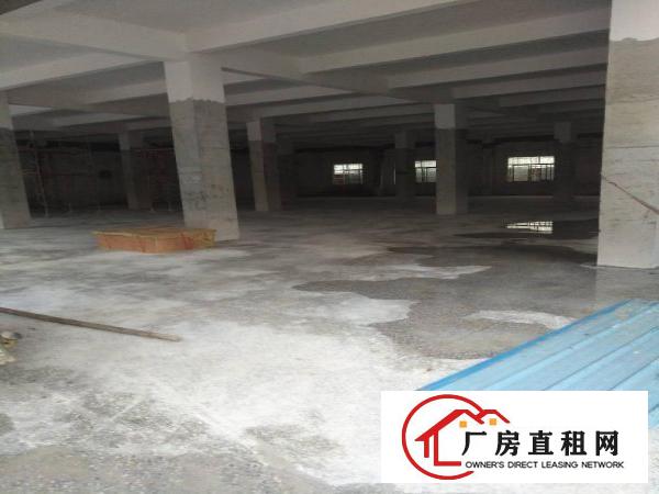 
		约场原房东刚建好单一层1000平方厂房
	