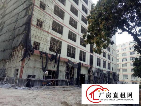 
		新圩镇带牛角带消防喷淋17500平厂房出租
	