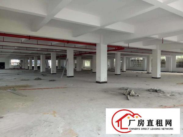 
		新圩镇带牛角带消防喷淋17500平厂房出租
	