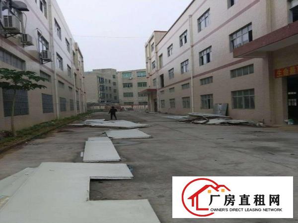 
		新圩4300平独栋厂房出租带消防喷淋，交通方便
	