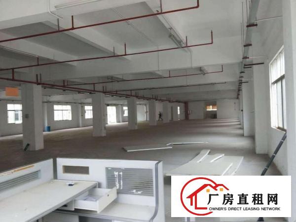 
		新圩4300平独栋厂房出租带消防喷淋，交通方便
	
