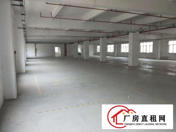 
		新圩4300平独栋厂房出租带消防喷淋，交通方便
	