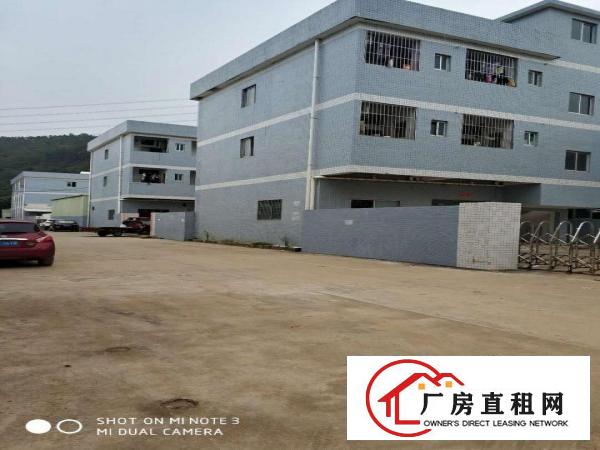 
		好消息！新圩空出独院厂房招租
	