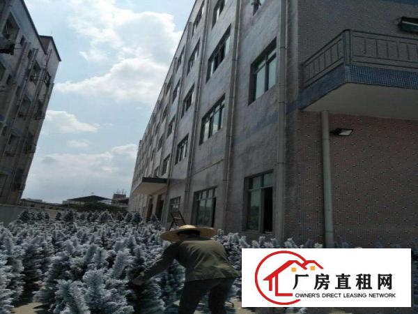 
		全新独院标准厂房出租，层高5米交通方便（可整可分）
	